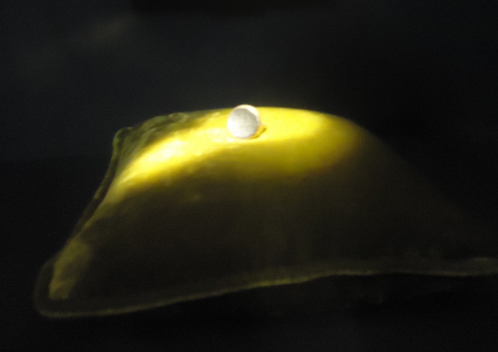 Jewel on display at Topkapi Palace