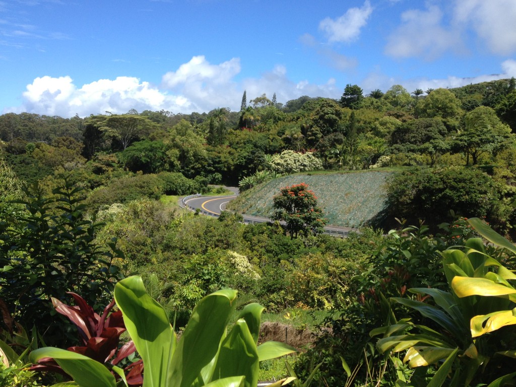 Hana Garden of Eden, Maui