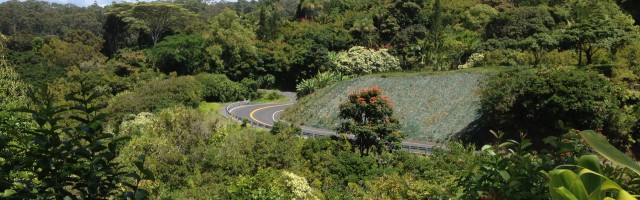 Hana Garden of Eden, Maui