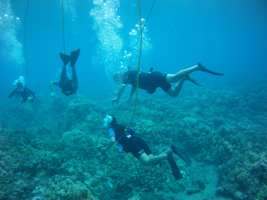 SNUBA Diving Shoreline SNUBA