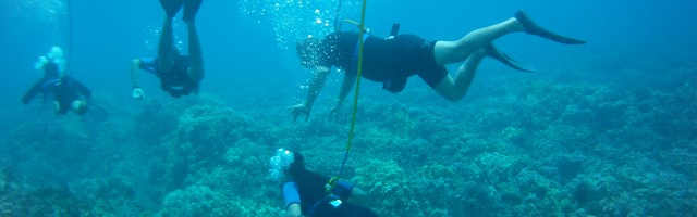 Maui Activities: Parasailing, SNUBA Diving, Jet Skiing, Atlantis Submarine & Hana