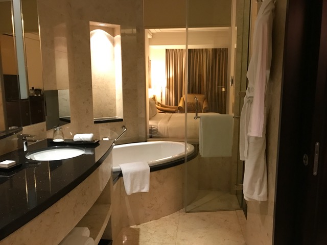 Hilton Dubai Hotel Deluxe Room Bath Tub and Shower