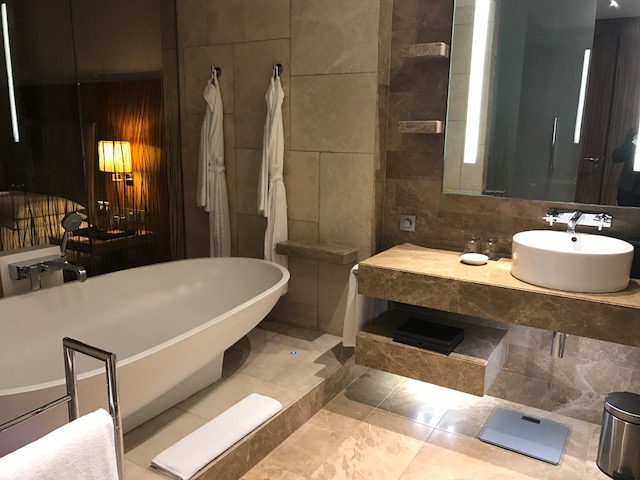 Marble Bathroom Hyatt Capital Gate Abu Dhabi