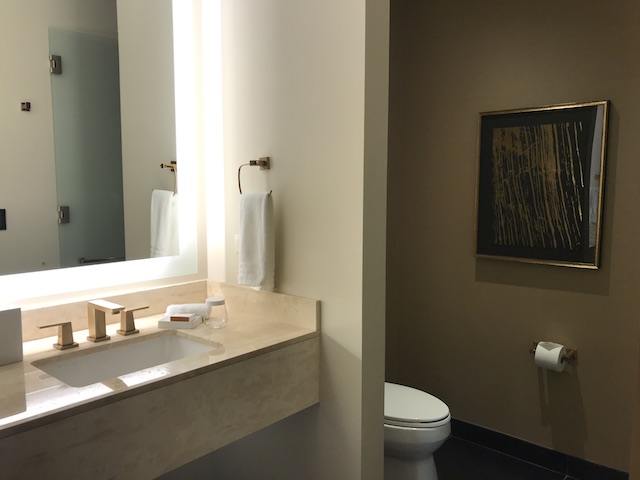 Review Conrad Chicago Superior Room Bathroom