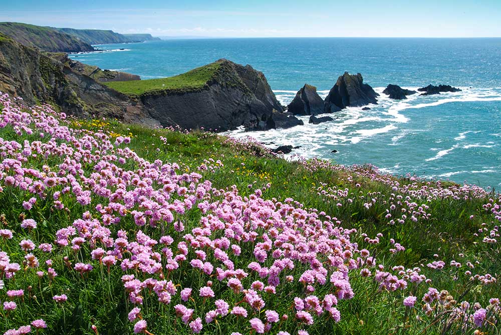 North Devon coast England
